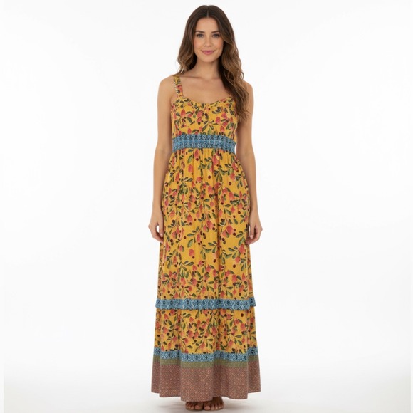 FARM Rio Dresses & Skirts - Farm Rio for Anthropologie Anjou‎ Maxi Dress Size 2 Tiered Padded Cup READ